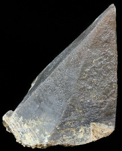 Dogtooth Calcite Crystal - Morocco #50188
